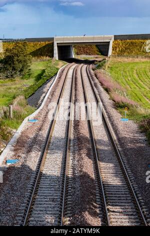 Train tracks Stock Photo