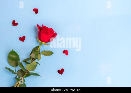Top view of red rose and heart confetti on blue background. Image with copy space, flat lay. Stock Photo