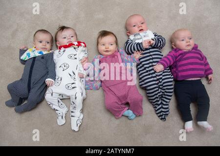 5 babies in. a row, UK Stock Photo