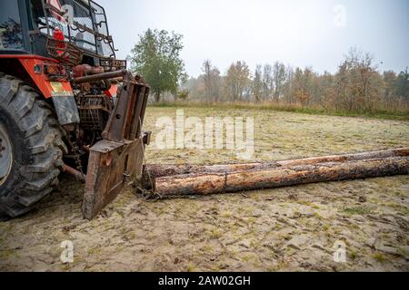 clearing the wood from the forest with a tractor Stock Photo