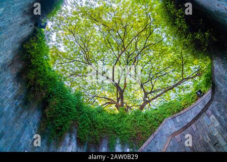 Fort Canning Park on Fort Canning Hill, Singapore. Stock Photo