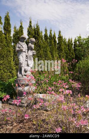 Concrete statue of a young boy and girl, Azalea - Rhododendron 'Northern Lights' bordered by a row of Thuja occidentalis 'Smaragd' - Cedar trees Stock Photo