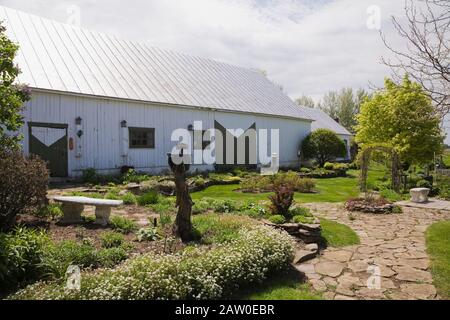 Flagstone path through mixed borders in backyard rustic garden with old white wooden barn with green trim, arbour and Acer - Maple tree in spring Stock Photo