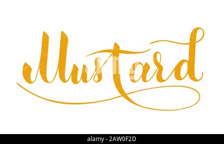 Vector hand written mustard text isolated on white background. Kitchen healthy herbs and spices for cooking. Script brushpen lettering with flourishes Stock Vector