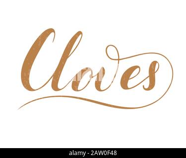 Vector hand written cloves text isolated on white background. Kitchen healthy herbs and spices for cooking. Script brushpen lettering with flourishes. Stock Vector