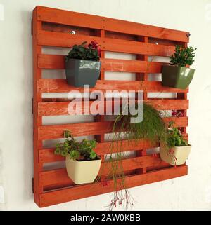 Flower pots on orange Painted wooden pallet Stock Photo Alamy