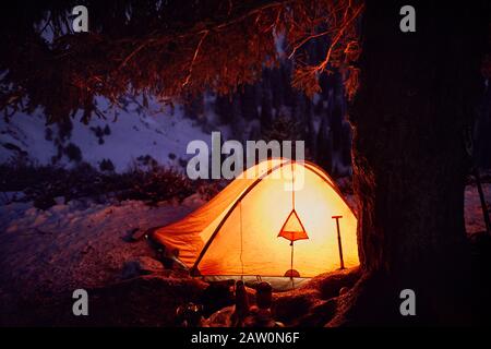 Camp with orange glowing tents near big spruce in the mountains under purple winter night sky. Stock Photo