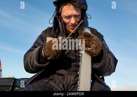 A worker in a blue jacket sharpens a chainsaw chain. Stock Photo