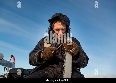 A worker in a blue jacket sharpens a chainsaw chain. Stock Photo