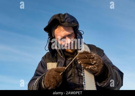 A worker in a blue jacket sharpens a chainsaw chain. Stock Photo