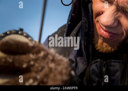 A worker in a blue jacket sharpens a chainsaw chain. Stock Photo