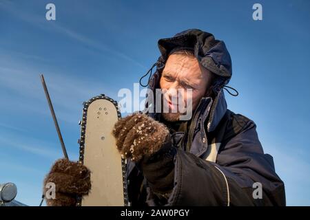 A worker in a blue jacket sharpens a chainsaw chain. Stock Photo