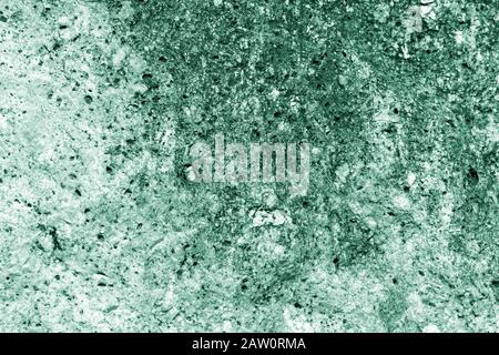 Seashore rocks texture close-up. Natural stone background green color toned Stock Photo