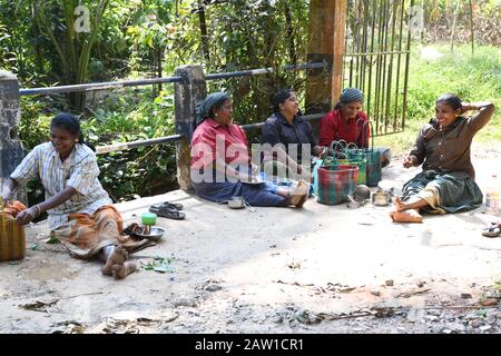 Five happy Indian woman having a lunch break from there job at a spice garden, Kerala, India Stock Photo