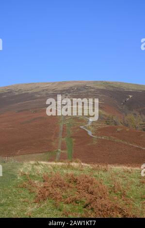 The winding footpath is and easy but steep route up to the summit of Skiddaw in The Lake District,Cumbria,UK. Stock Photo