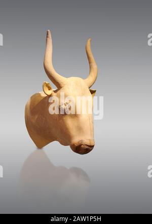 Minoan  bull's head rhython libation vessel, Phaistos palace 1700-1600 BC; Heraklion Archaeological  Museum, grey background. Stock Photo