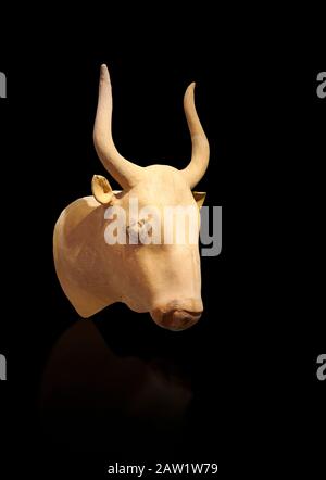 Minoan  bull's head rhython libation vessel, Phaistos palace 1700-1600 BC; Heraklion Archaeological  Museum, black background. Stock Photo