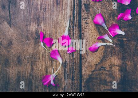 Relationship concept. Love concept. Marriage concept. Flower petals on vintage wooden background, close up Stock Photo