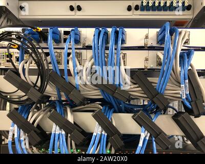 network cables connected to data center server. Stock Photo