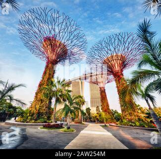 Singapore Super tree garden in Marina bay at day, nobody Stock Photo