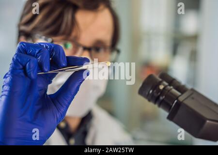 A doctor or scientist in a laboratory holds medicine for children or the elderly or cures animal diseases. Concept: diseases, medicine, science Stock Photo