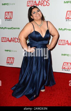 LAS VEGAS - JAN 12: Karla Lane at the 2020 AVN (Adult Video News