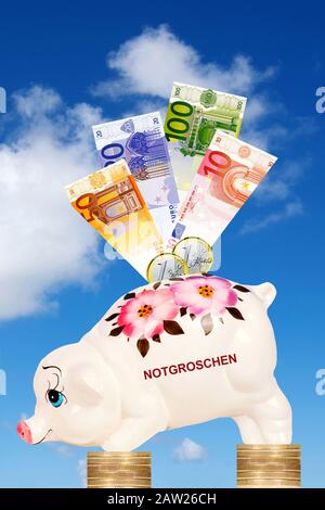 piggybank in front of cloudy sky on Euro coins with Euro bills and lettering nest eggs, Germany Stock Photo