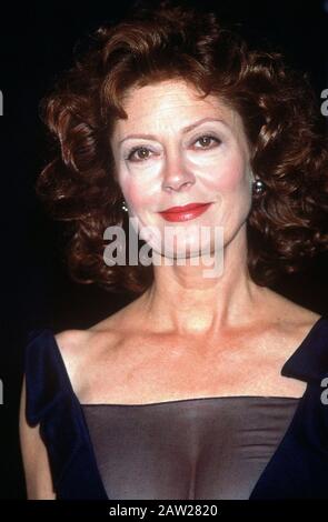 Actress Susan Sarandon Stock Photo - Alamy