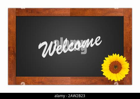 'Welcome' written in chalk on a blank blackboard with sunflower on wooden frame, isolated on white background