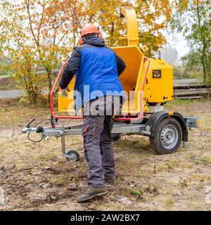 cleaning the forest and chipping branches using a special machine Stock Photo