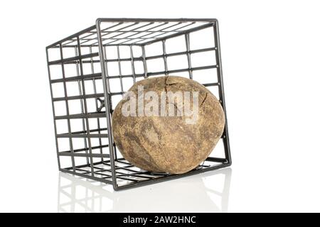One whole raw sweet beetroot in black plastic basket isolated on white background Stock Photo