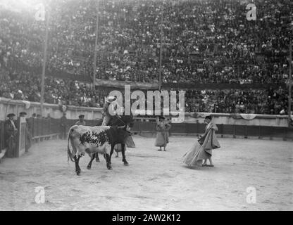 https://l450v.alamy.com/450v/2aw2k12/bullfight-in-nimes-arena-picador-riding-cross-bull-with-lance-around-it-the-toreros-annotation-the-picador-spanish-for-stick-is-the-person-in-bull-fighting-puts-the-skewers-banderillas-in-the-bull-the-picadores-usually-come-later-in-the-bullfight-arena-and-ride-usually-through-thick-cushions-protected-horses-initially-the-bull-by-the-torero-with-the-muleta-semicircular-curtain-of-red-flannel-and-jaded-after-picadores-their-task-accomplished-the-matador-to-kill-the-bull-too-source-wikipedia-april-2013-date-september-1-1935-location-france-nimes-keywords-arenas-horses-audi-2aw2k12.jpg