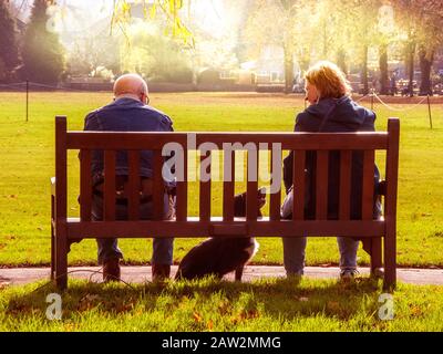Couple on Park Bench with Dog, golden light Stock Photo