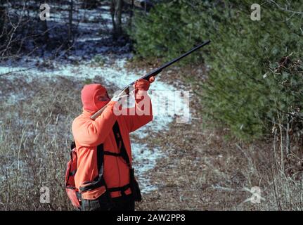 A Hunter Takes Aim At A Bird In A Tree Stock Photo