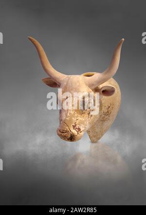 Minoan  bull's head rhython libation vessel, Gournia 1600-1450 BC; Heraklion Archaeological  Museum, grey background Stock Photo