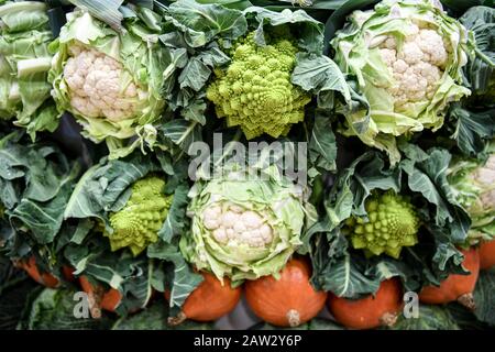 Berlin, Germany, romanesco at Fruit Logistica 2011 Stock Photo - Alamy