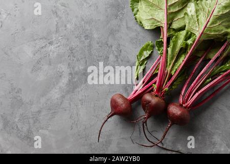 Fresh harvested beetroot on stone background Stock Photo