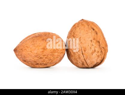 Two walnuts on a white background Stock Photo