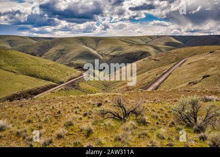 Highway OR-206 crossing hills around Six Mile Canyon at Umatilla Plateau, part of Columbia Plateau, east of Condon, Oregon, USA Stock Photo