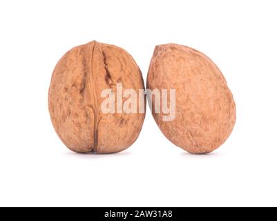 Two walnuts on a white background Stock Photo