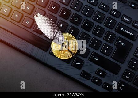 Bitcoin coin on a hook over the keyboard. Concept catching money, money scam, cryptology scam concept Stock Photo