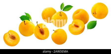 Falling yellow plums with leaves isolated on white background Stock Photo