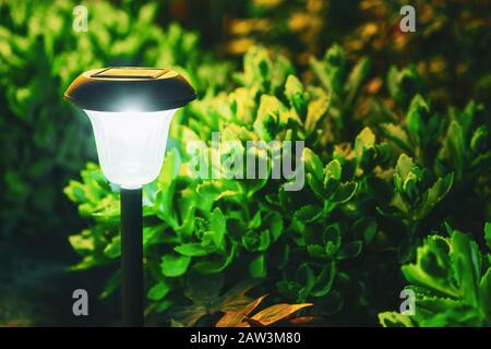 Decorative Small Solar Garden Light, Lantern In Flower Bed. Garden Design. Solar Powered Lamp Stock Photo