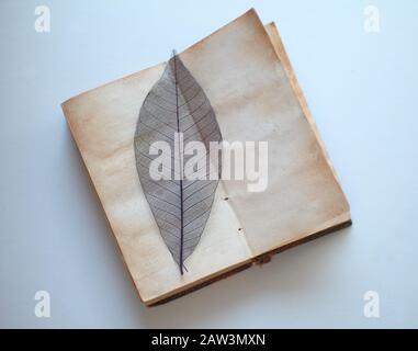 Aged pages of an old book with a skeleton leaf and copy space Stock Photo