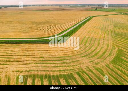 Aerial View Of Rural Landscape. Natural Green And Yellow Field With Trails Lines. Top View Of Field In Late Summer During Harvest. Bird's-eye Drone Vi Stock Photo