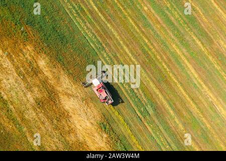 Aerial View Of Rural Landscape. Combine Harvester Working In Field, Collects Seeds. Harvesting Of Wheat In Late Summer. Agricultural Machine Collectin