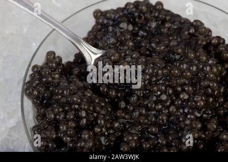 Caviar, Sturgeon's Eggs Stock Photo