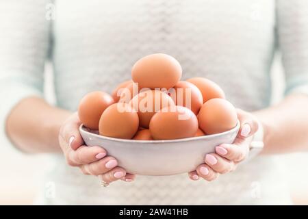 The hands of a young woman hold a bowl of chicken eggs. Stock Photo