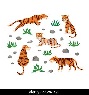 Set of tigers, leaves and stones. Vector illustration isolated on white background. Stock Vector