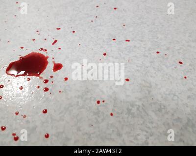 Drops of blood on the floor Stock Photo